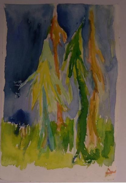 Thumbnail von 660 Tannenbäume, Aquarell auf Papier, 11.2009, 12x17cm, 60€.jpg